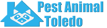 Toledo Wildlife and Animal Removal